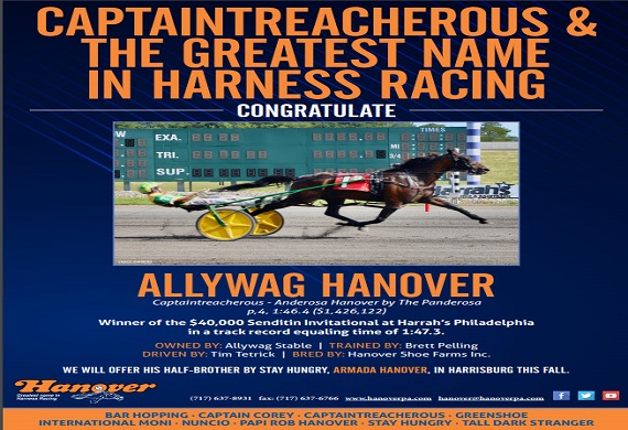 Allywag Hanover